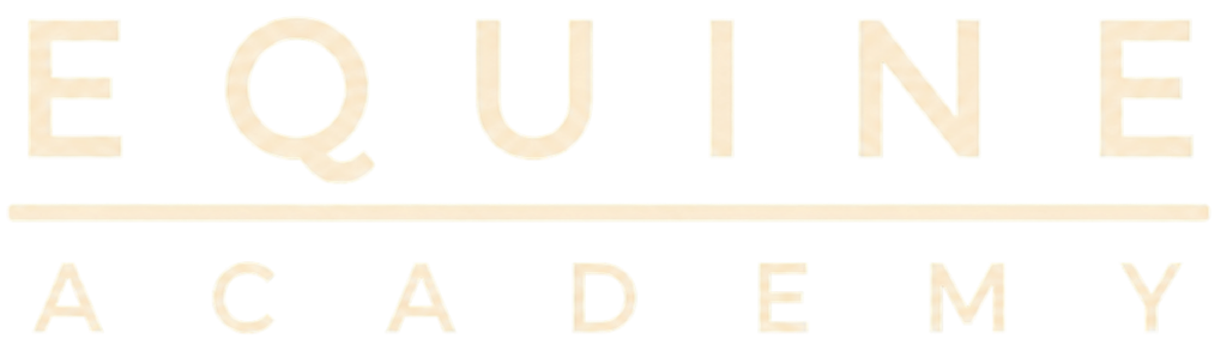 Equicademy
