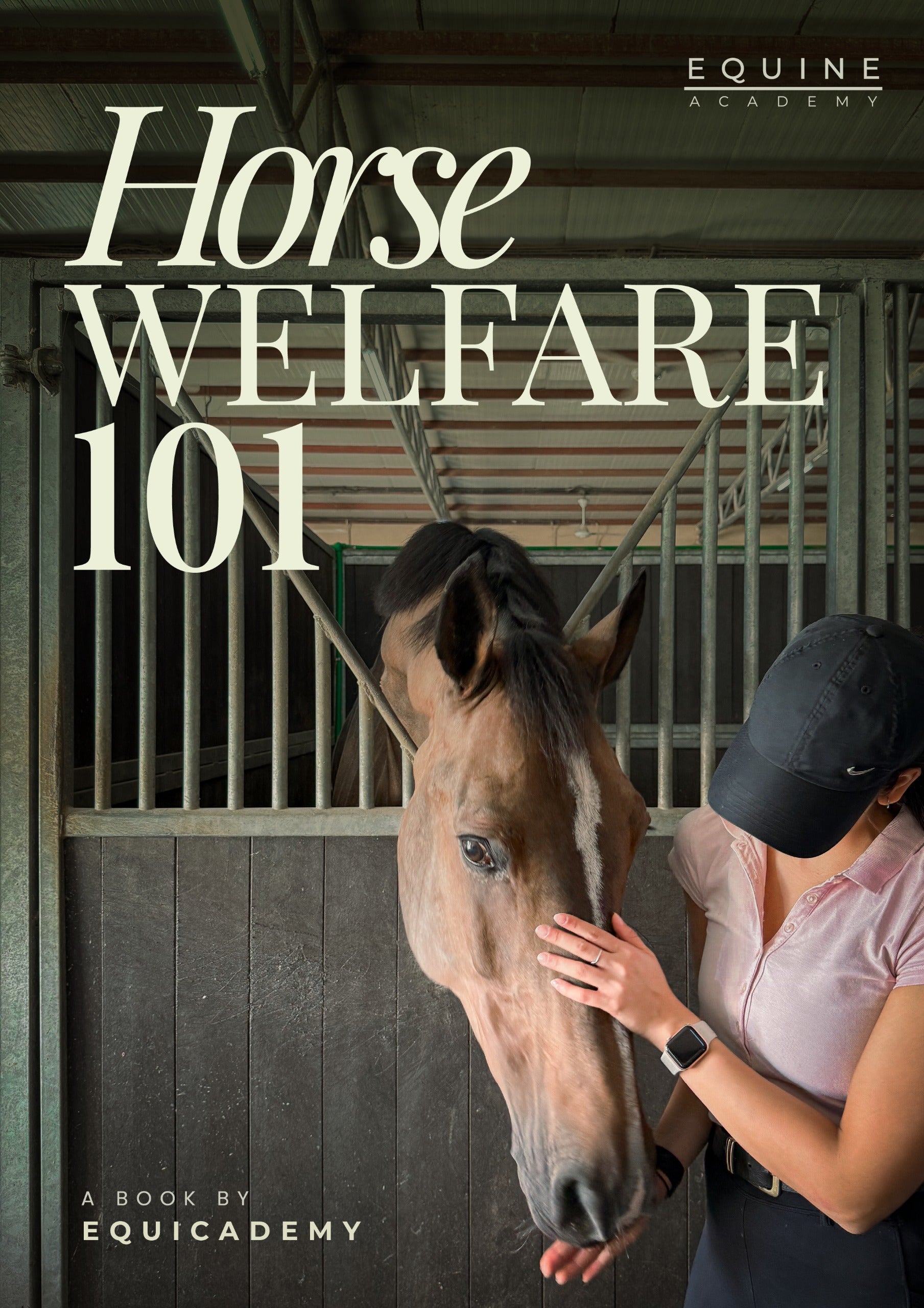 Horse Welfare 101