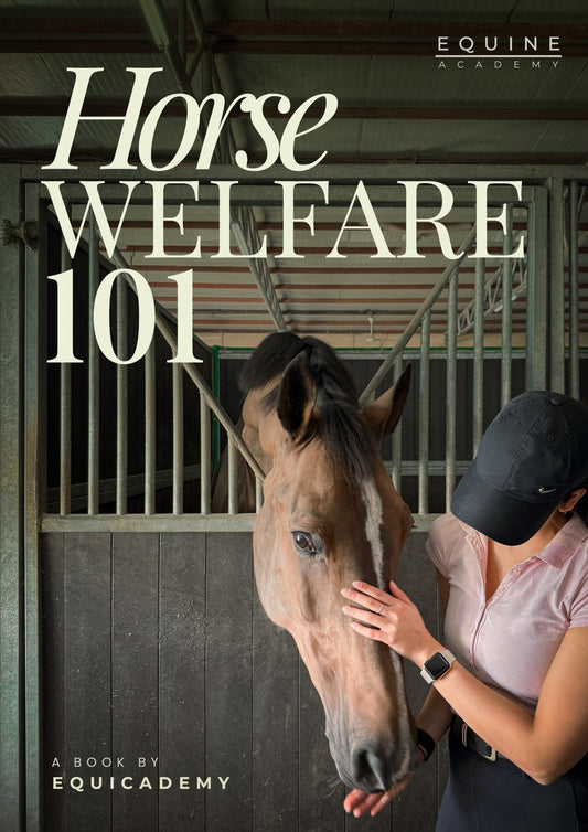 Horse Welfare 101